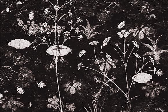 Exploring the Allure of Dark Floral Artwork: A Blend of Elegance and Mystery
