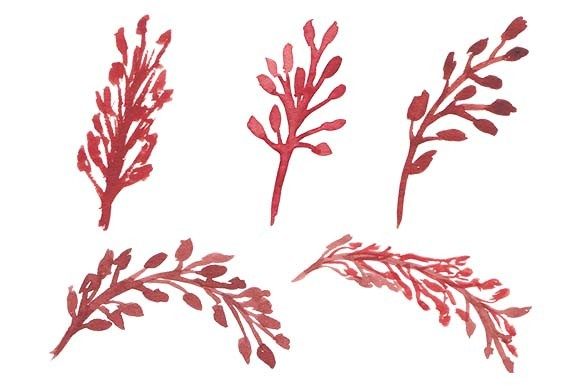 Watercolor Floral Element Set for Creative Projects