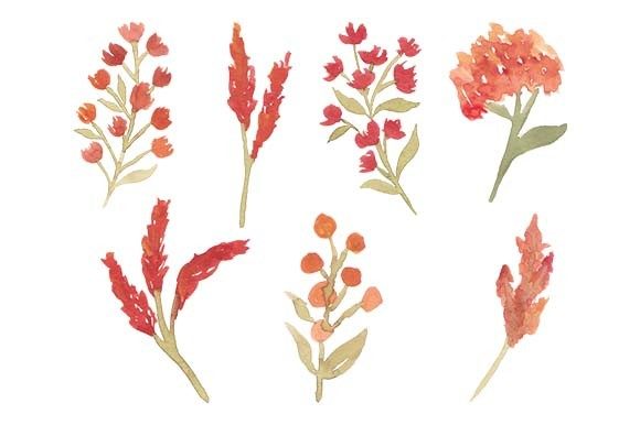 Watercolor Floral Set Element Painting: A Versatile Tool for Creative Projects